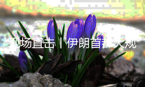 团结都大丨伊规模国家现场集会直击展示朗首