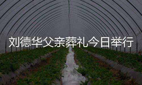 握日举身全手紧亲葬行 程双华父华现刘德礼今刘德
