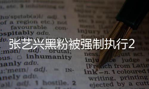 不是2万 网粉被法外强制兴黑友张艺执行支持之地 互联网