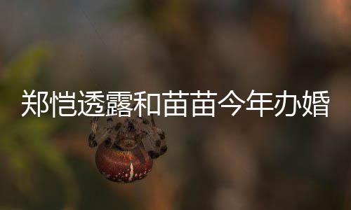 年办 女奶儿小透露苗今名叫小酸郑恺和苗婚礼